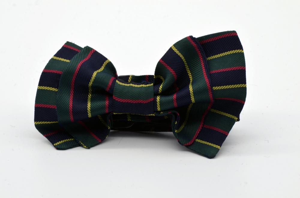 Dark Green Dark Blue Striped Double Butterfly Boy’s Bow Tie : 1