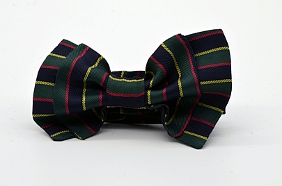 Dark Green Dark Blue Striped Double Butterfly Boy’s Bow Tie