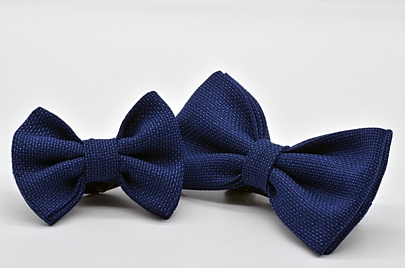 Dark Blue Mesh Butterfly Bow Tie Set