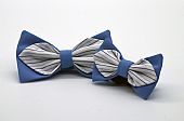 Cyan Blue with White Blue Striped Diamond Point Bow Tie Set : 1